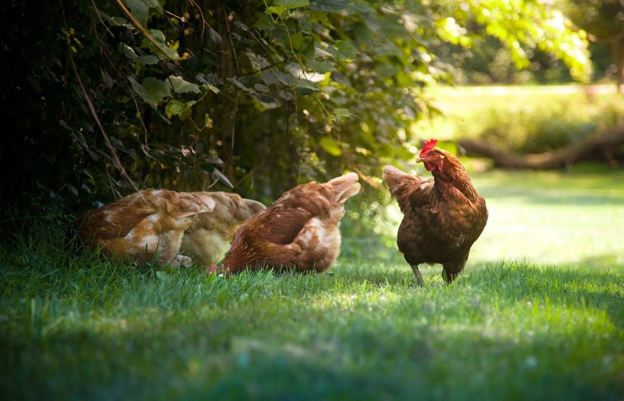 國(guó)藥威克 9160d64a-8a16-4899-a2ad-fdf31fca381c.jpg